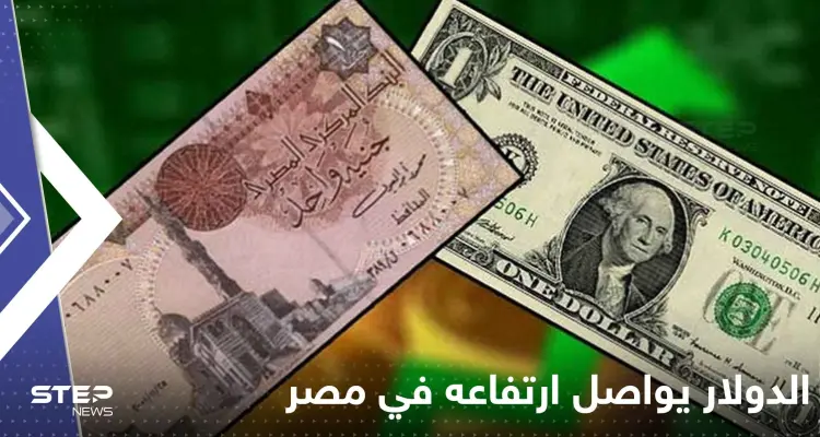 مصر.. الدولار يواصل ارتفاعه وأنباء عن شلل في السوق السوداء: أخبار
