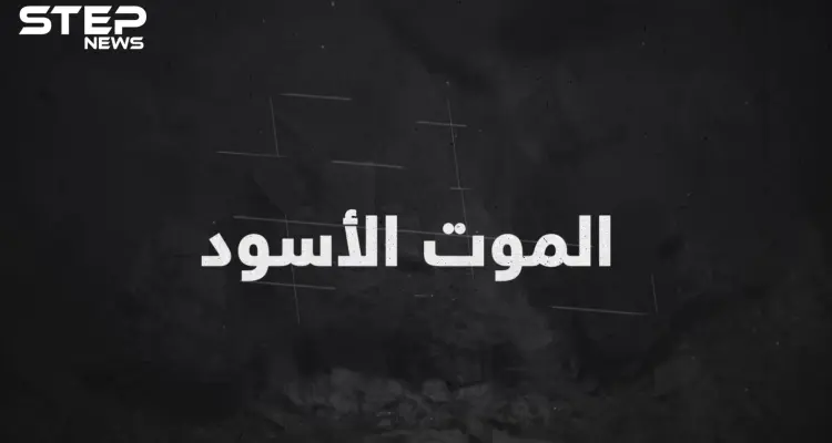 الموت الأسود ..عندما اجتاح الموت العالم وقتل أوروبا!: أخبار