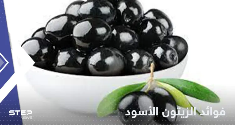 للوقاية من الزهايمر وأمراض القلب.. تعرف على فوائد الزيتون الأسود: أخبار