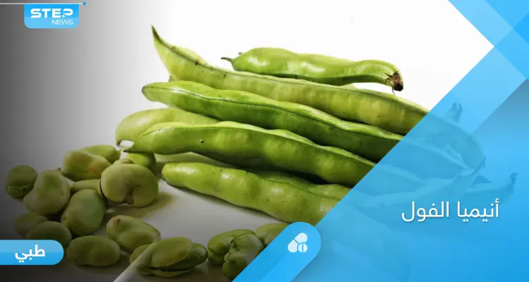 تعرف على أهم أنواع الفواكه الممنوعة لمرضى أنيميا الفول: أخبار