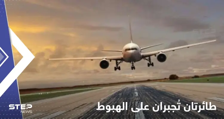 طائرتان تُجبران على الهبوط اضطرارياً بسبب الطيور ونوع من الفاكهة: أخبار