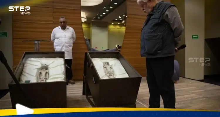 "لسنا وحدنا في هذا الكون".. عالم يرصد ما كشفه الحمض النووي لكائنات المكسيك الغريبة: أخبار