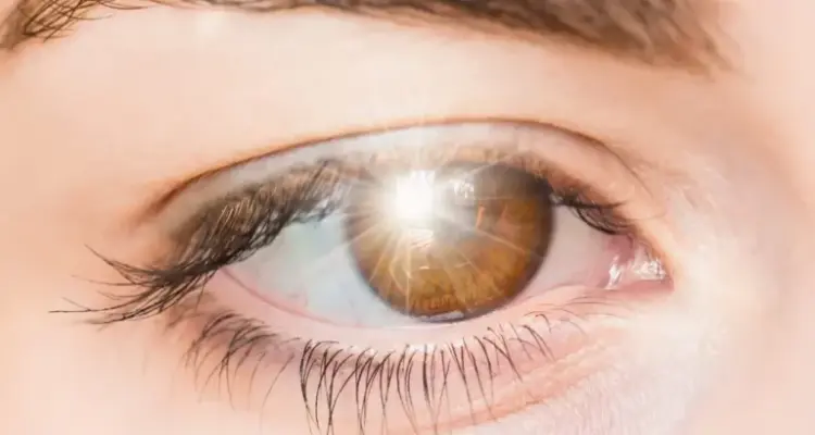 دراسة لا تصدق.. لون نراه لكنه غير موجود بالحياة وعلماء يؤكدون "إنه مجرد خدعة": أخبار