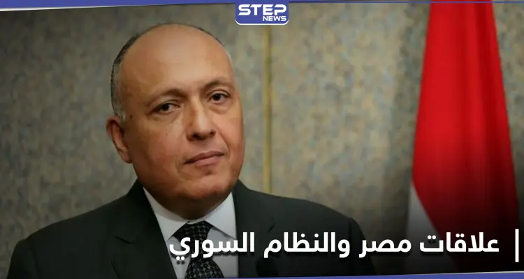 وزير الخارجية المصري يكشف أسباب عدم عودة علاقات مصر بالنظام السوري: أخبار