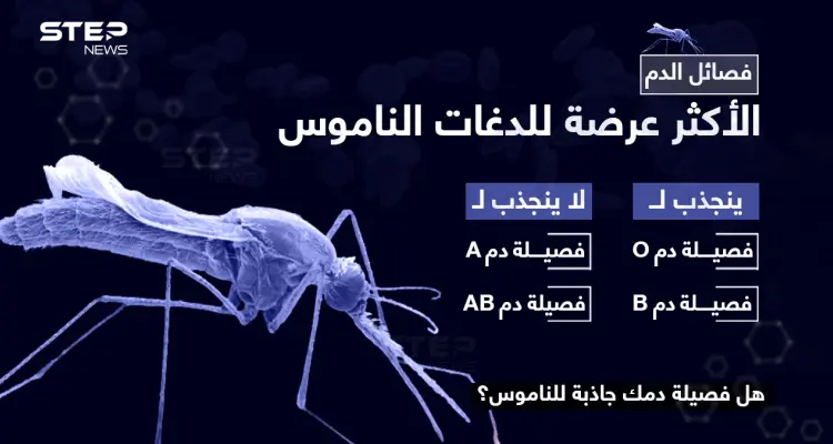 تعرف على فصائل الدم الأكثر عرضة للدغات الناموس .. هل زمرة دمك منهم ؟: أخبار