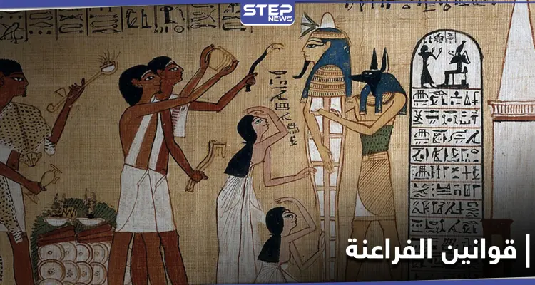 المتحرش تأكله التماسيح.. باحث مصري يكشف حقائق غريبة عن قوانين الفراعنة: أخبار