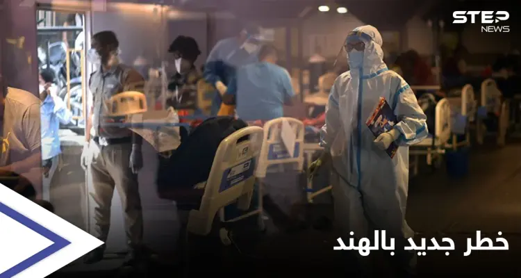 أشد فتكاً.. الفطر الأصفر يظهر حديثاً في الهند والصحة العالمية تحذر: أخبار