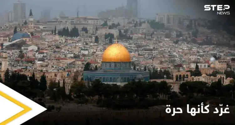 "غرد كأنها حرة" صورٌ من الحياة في فلسطين وأرجائها الحرة يطلقها رواد مواقع التواصل: أخبار