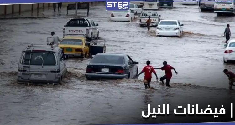8 وفيات بمرض جديد في السودان ناتج عن فيضانات النيل: أخبار