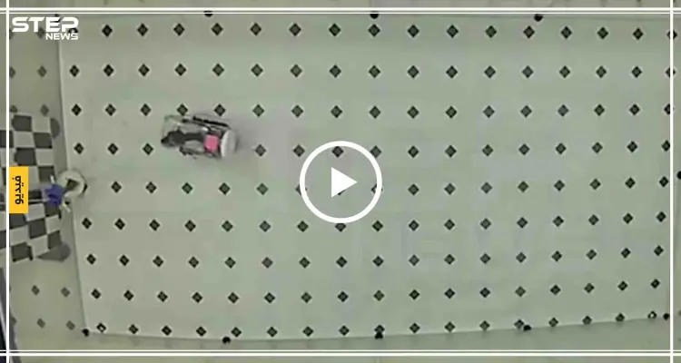 فئران تقود سيارات خاصة في أمريكا "فيديو": أخبار