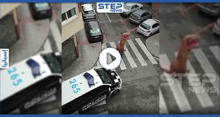 بالفيديو|| سر ظهور ديناصور في "ميرسة" الإسبانية وعلاقته بـ"كورونا": أخبار