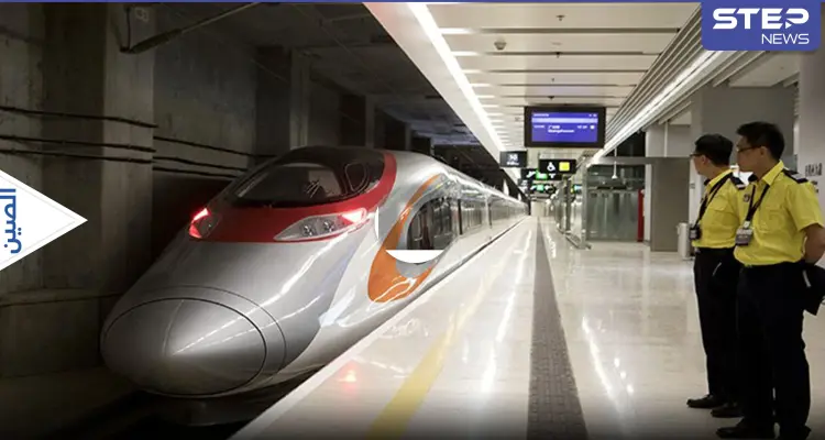 الأغنام والخنازير تغزو أحد القطارات البطيئة في الصين وتسافر جنباً إلى جنب مع الركاب (فيديو): أخبار