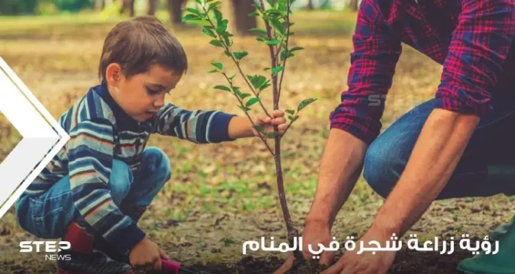 رؤية شجرة في المنام وزراعتها والاعتناء بها ودلالته على الواقع: أخبار