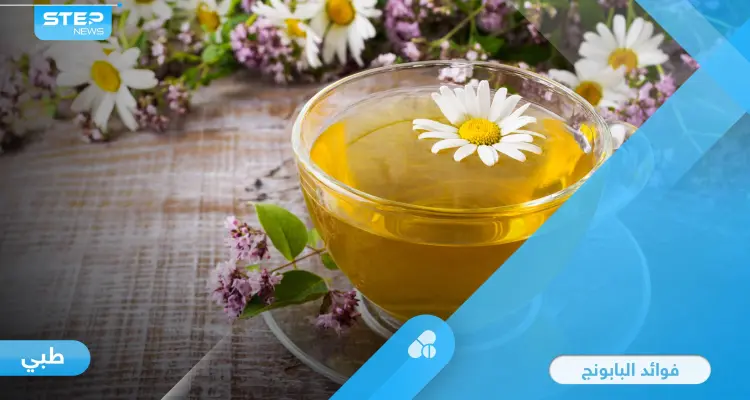 فوائد البابونج للقلب والأكزيما وأمراض أخرى.. وخطورته على فئة معينة تعرف عليها: أخبار