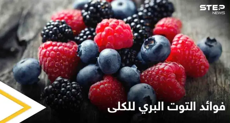 تعرف على فوائد التوت البري للجهاز البولي والكلى وطرق استخدامه لتحقيق أقصى فائدة ممكنة: أخبار