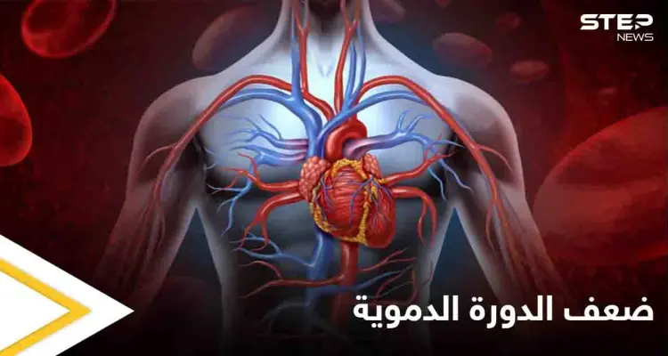 8 علامات وأعراض لضعف الدورة الدموية وأثرها على عمل الكلى وأعضاء أخرى: أخبار