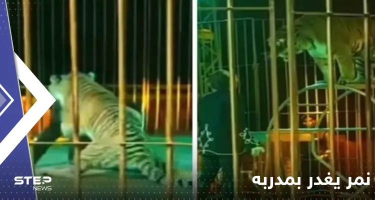 شاهد|| نمر يغدر بمدربه في عرض مباشر وسط ذهول الجماهير: أخبار