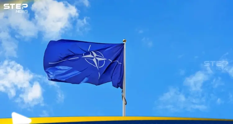 الناتو يخطط لنشر دفاعات آلية على الحدود مع روسيا وبيلاروس: أخبار