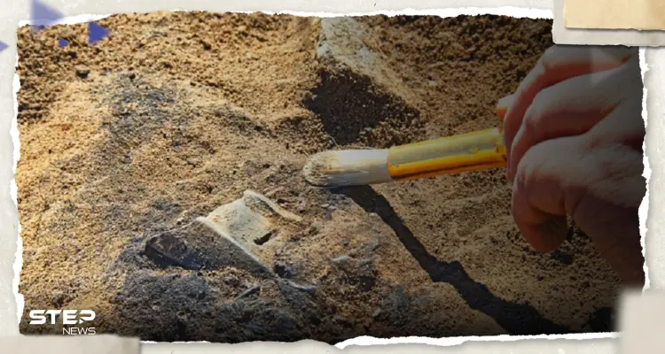 هل كان البشر يأكلون بعضهم.. اكتشاف علمي "صادم" يغير فرضيات قديمة: أخبار