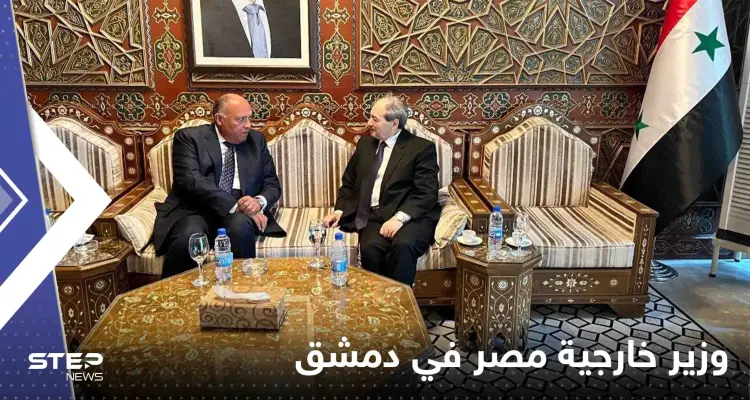 شاهد|| وزير خارجية مصر في دمشق في أرفع زيارة من نوعها منذ 12 عاما: أخبار