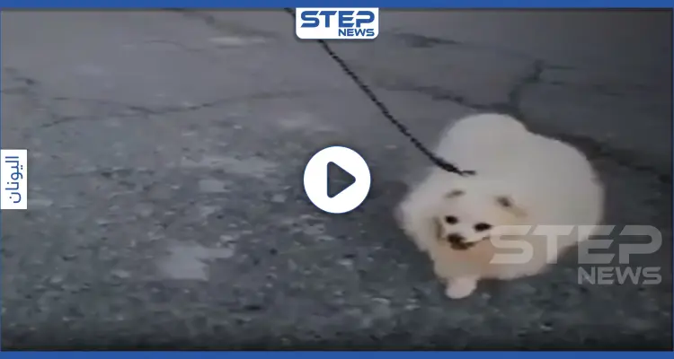 بالفيديو || وسط حظر التجول.. رجل يبتكر طريقة مميزة لتسيير كلبه خوفًا من كورونا: أخبار