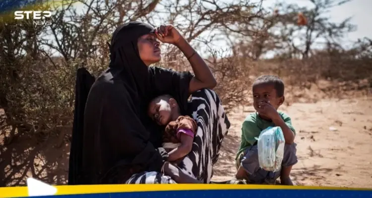 الصومال على حافة المجاعة.. أين الحكومة وهل يتكرر سيناريو 2011!؟: أخبار