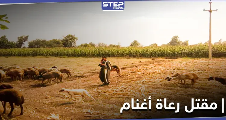 مقتل 7 رعاة أغنام في بادية البوكمال.. والميليشيات الإيرانية تراقب بصمت: أخبار