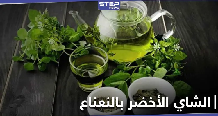 ما هي فوائد الشاي الأخضر والنعناع .. هذا ما يحدث في أجسادنا عند تناولها: أخبار