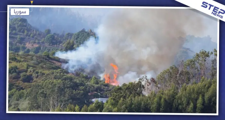 الزراعة السورية تكشف عن سبب حرائق غابات المناطق الساحلية والوسطى: أخبار