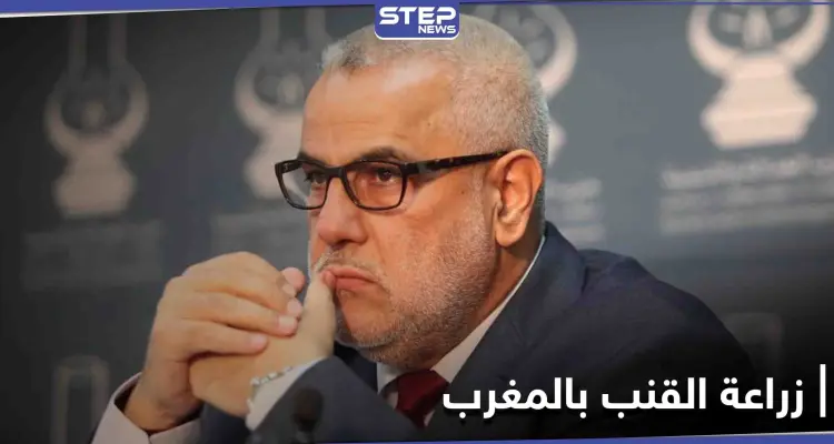 المغرب... بنكيران يعلّق عضويته في "العدالة والتنمية" احتجاجاً على إجازة القنب الهندي: أخبار