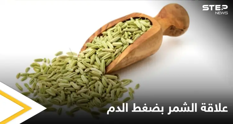 ما هو الشمر وكيف يساعدنا على التحكم بارتفاع وهبوط ضغط الدم تعرّف على التفاصيل: أخبار