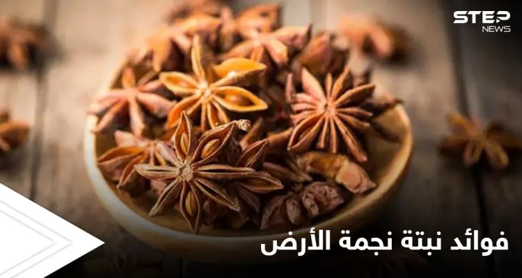 نجمة الأرض لعلاج الجهاز الهضمي وهشاشة العظام وفوائد أخرى تعرف عليها: أخبار