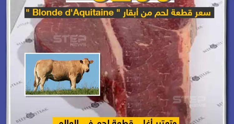 أغلى قطعة لحم في العالم بسعر 3200 دولار: أخبار