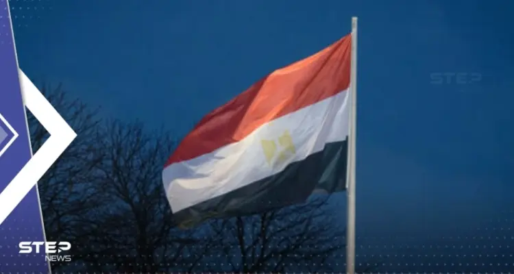 مصر تصدر بياناً بشأن "لحوم محقونة بهرمونات محظورة في البلاد": أخبار