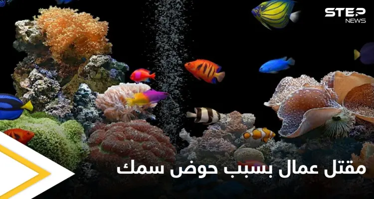 حوض أسماك الزينة يتسبب بمقتل عمال في الإمارات والسلطات تحقق في الحادثة: أخبار