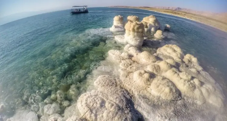 فيديو يثير جدلاً في الأردن ووزارة الطاقة تبحث عن إجابة: أخبار