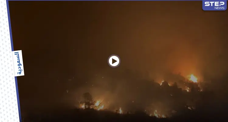 "برداً وسلاماً".. تعاطف واسع بعد اندلاع حرائق ضخمة في عسير بالسعودية ومؤشرات بأنها مفتعلة (فيديو): أخبار