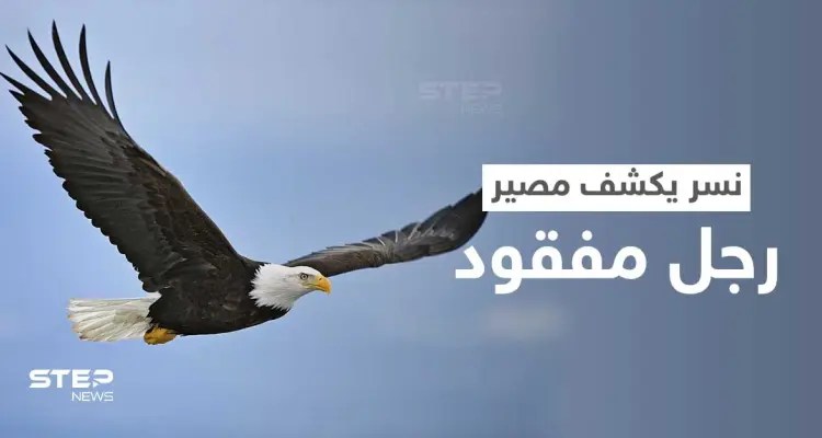 نسر يحلّق فوق منطقة مهجورة يحل لغز غامض ويكشف مصير رجل مفقود منذ أيام: أخبار