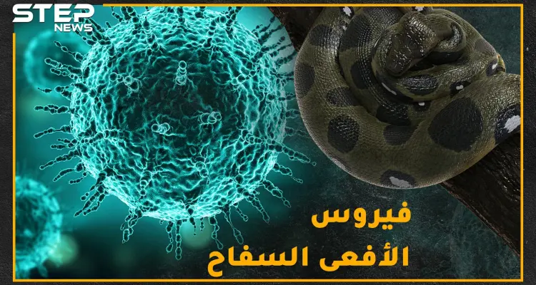 "كورونا" سلاح الأفاعي الجديد لقتل البشر.. هل حقاً فناء البشرية على يد الفيروسات التاجية!؟: أخبار