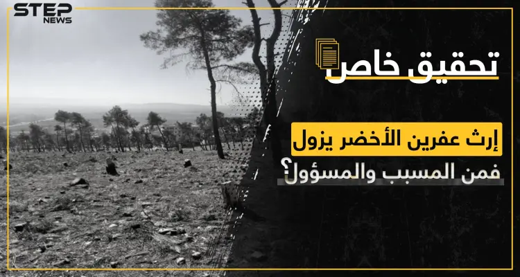 غابات عفرين تتحول إلى صحراء جرداء وجهات نافذة تبني ثروات على حساب قوت الناس: أخبار