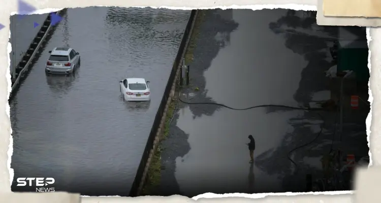 شاهد|| هروب "أسد بحر" من حديقة حيوان سنترال بارك إثر فيضانات نيويورك: أخبار