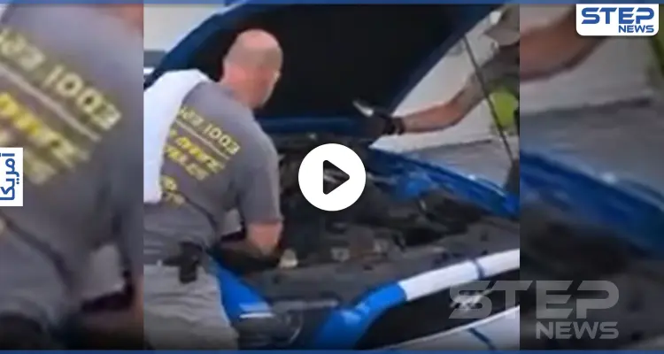 بالفيديو || أمريكي يُفاجأ بحيوان خطير تحت غطاء محرك سيارته: أخبار