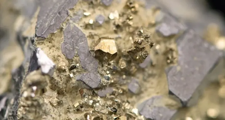 وزير تركي يعلن عن اكتشاف منجم ذهب ومعادن ثمينة بقيمة تزيد عن 4 مليون دولار بهذه المنطقة: أخبار