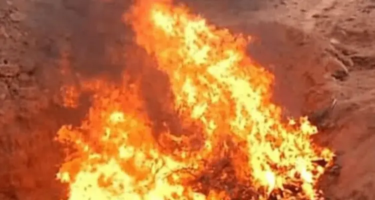 الائتلاف المعارض يعلٌّق على مقاطع مسربة لمخابرات النظام السوري وهي تحرق جثث المعتقلين بطريقة بشعة: أخبار