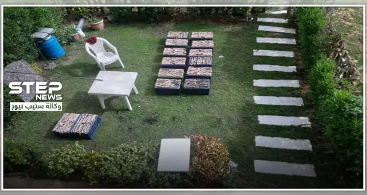 بالصور|| الأمن المصري يضبط مجموعة صينيين تعد كمية ضخمة من الثعابين كوجبة غذاء: أخبار