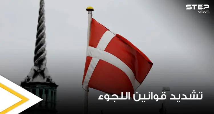 منها دولتين عربيتين.. الدنمارك تكشف عن الدول التي تتحاور معها لترحيل اللاجئين السوريين إليها: أخبار