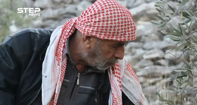 الحاج "نادر" رجل مصاب يتحدى إصابته ويعمل في قطاف الزيتون لتأمين لقمة العيش: أخبار