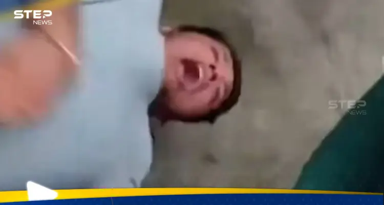 بالفيديو|| نمر ضخم ينقض على سائح حاول أخذ لقطة سيلفي معه: أخبار