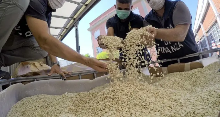 وجهتها السعودية.. ضبط شحنة كبيرة من حبوب الكبتاغون في مرفأ بيروت: أخبار