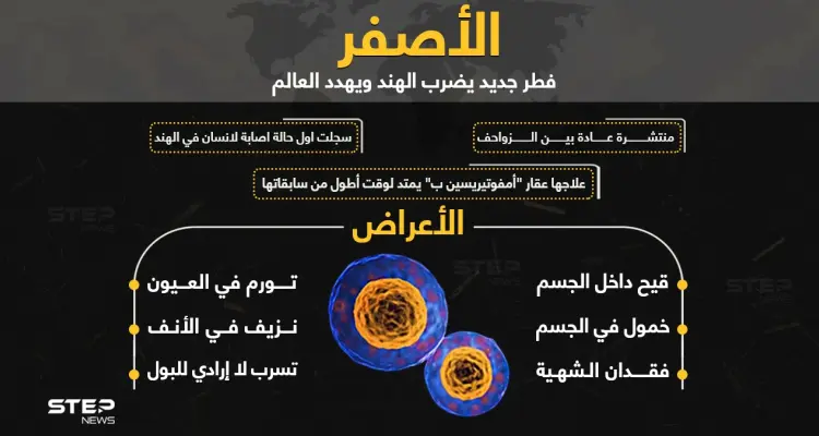 الفطر الأصفر.. خطر جديد يهدد العالم ماذا تعرف عنه؟: أخبار